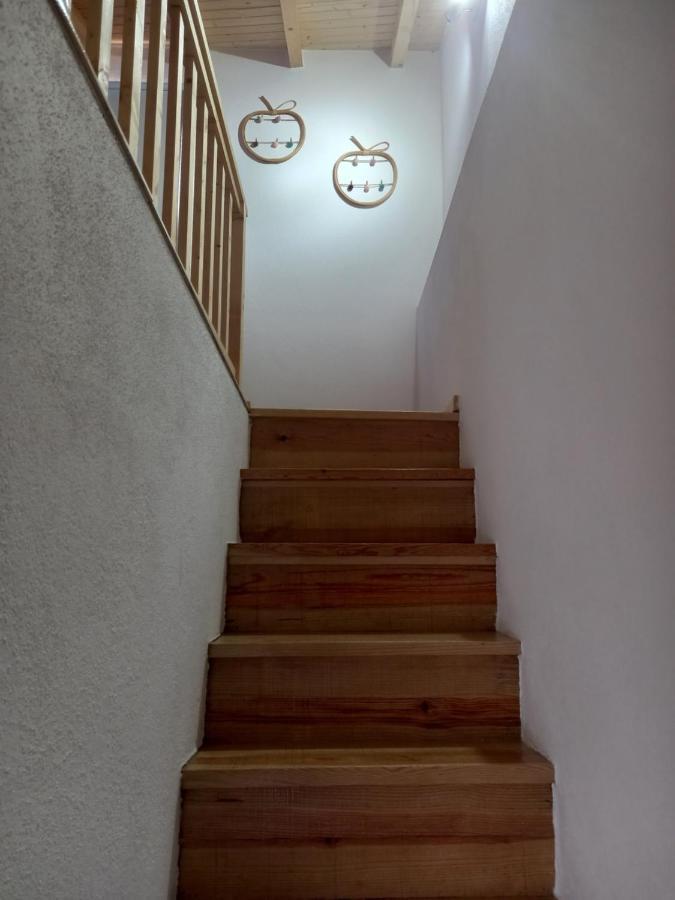 Amieira Do Tejo Guest House エクステリア 写真