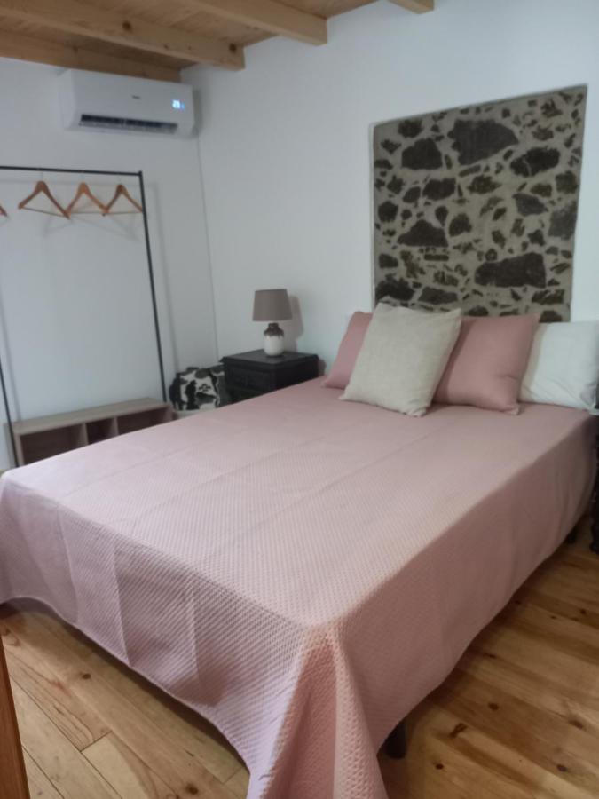 Amieira Do Tejo Guest House エクステリア 写真